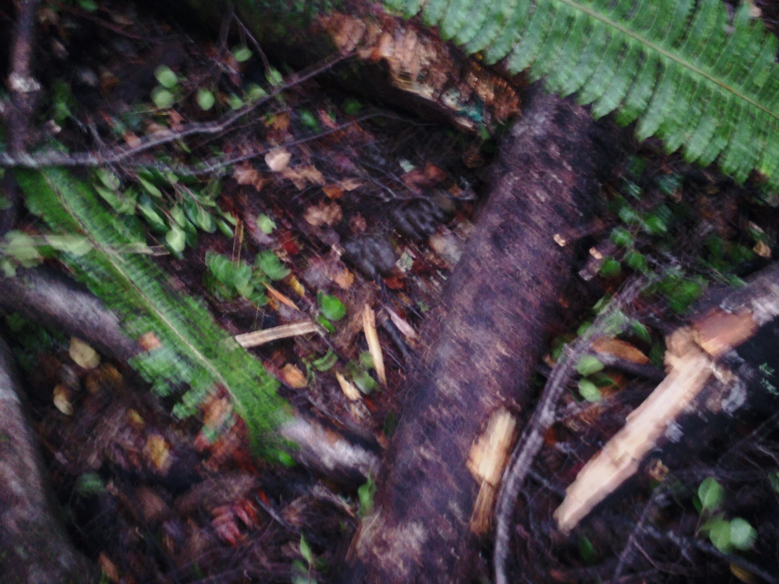 Name:  SAM_0202.jpg
Views: 682
Size:  511.0 KB