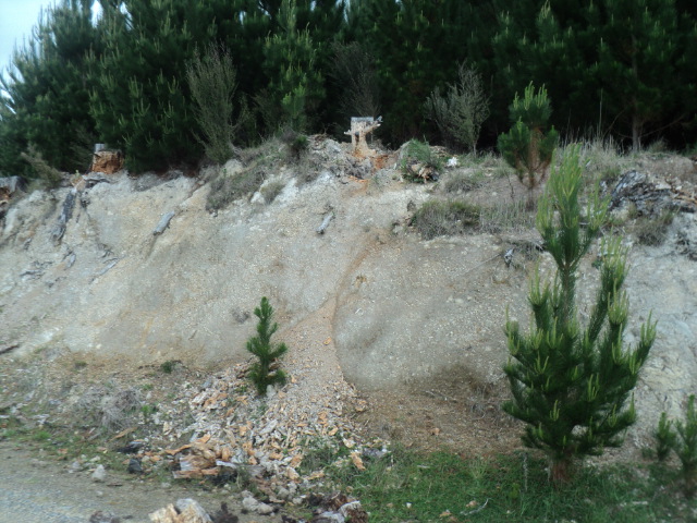 Name:  picture 01 4292.jpg
Views: 778
Size:  164.1 KB