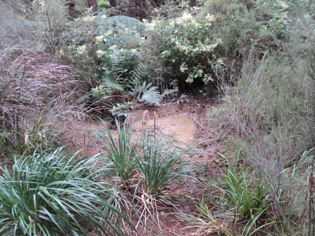 Name:  picture 01 4290.jpg
Views: 779
Size:  163.4 KB