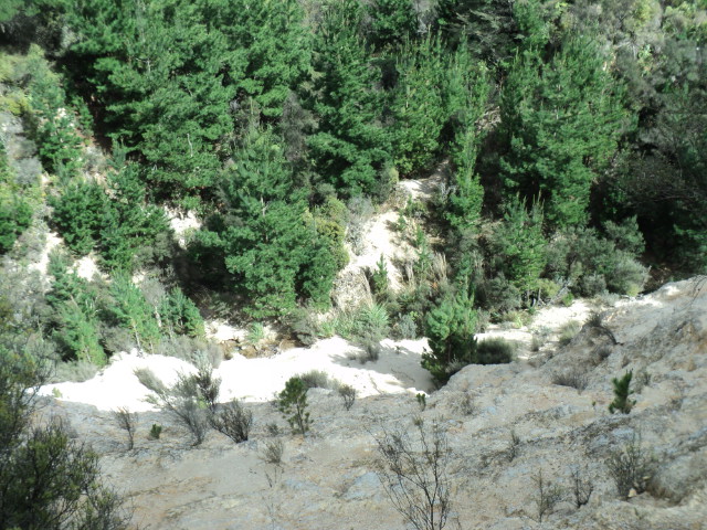 Name:  picture 01 4288.jpg
Views: 790
Size:  165.0 KB