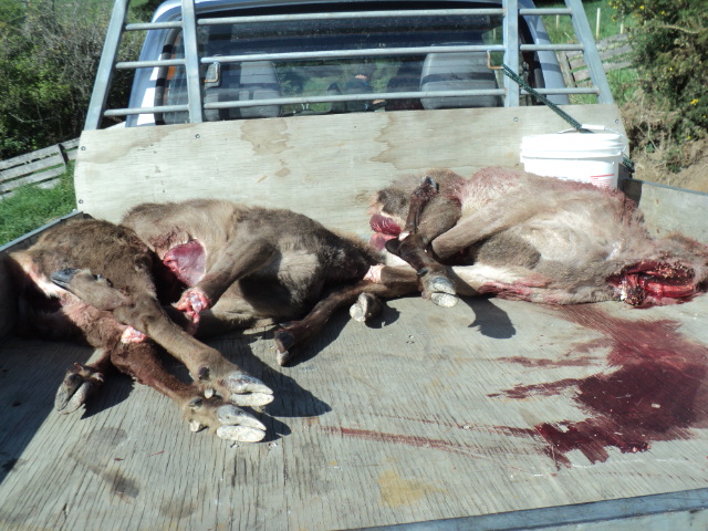 Name:  picture 01 4287.jpg
Views: 772
Size:  163.7 KB