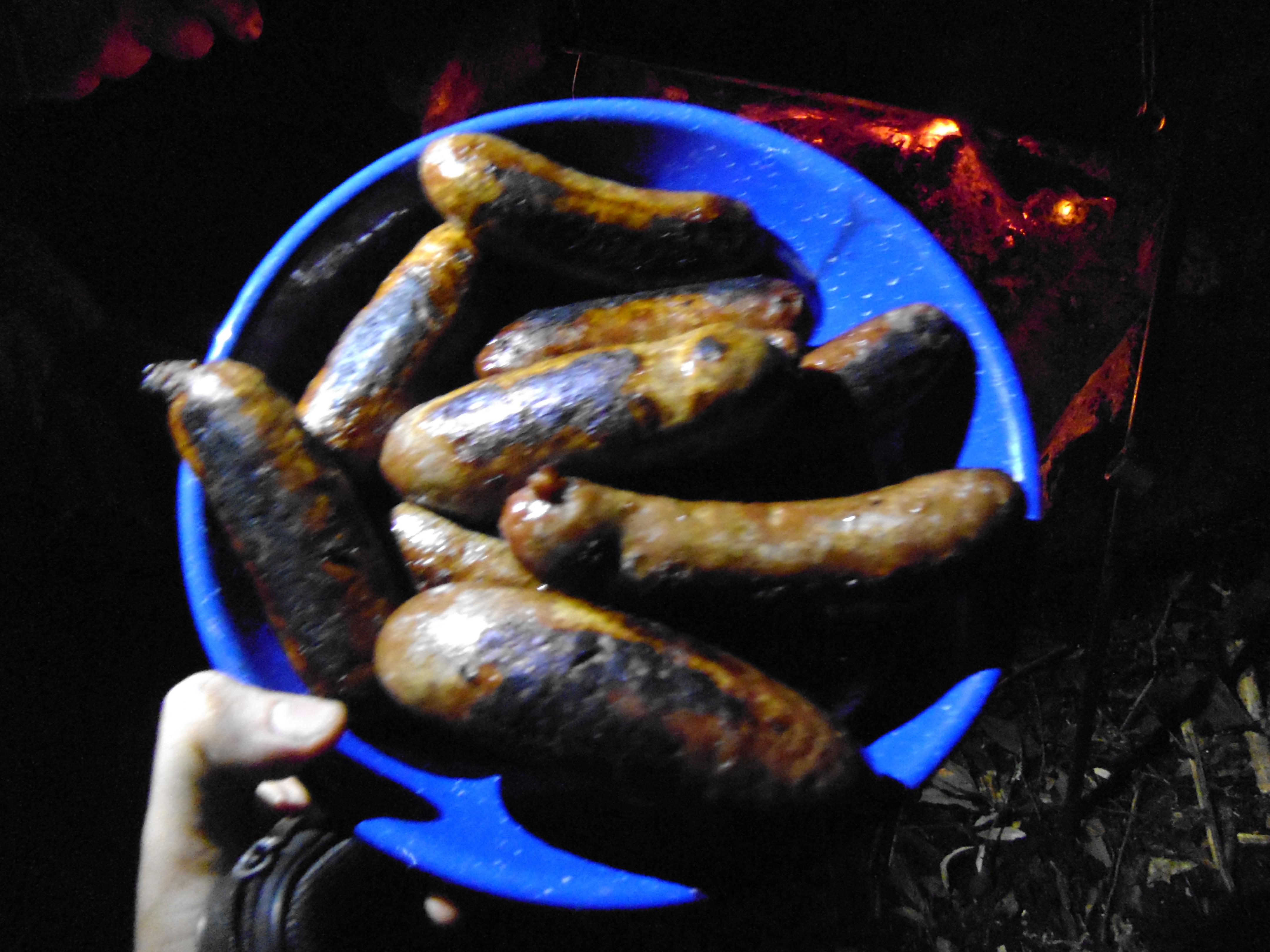 Name:  P1000114.jpg
Views: 893
Size:  911.7 KB