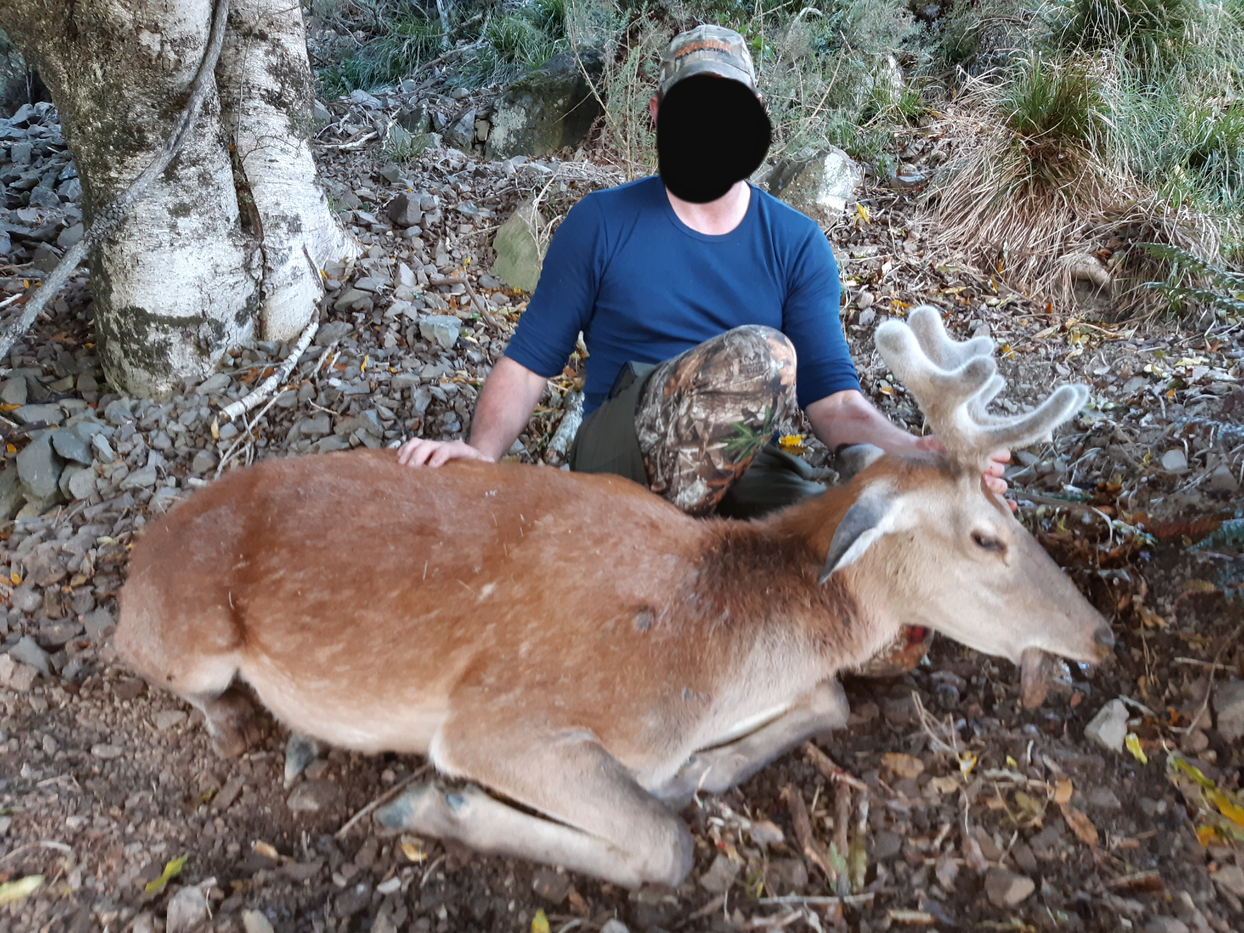 Name:  20191206_162701.jpg
Views: 649
Size:  7.83 MB