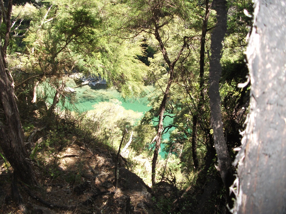 Name:  DSCF1063.JPG
Views: 767
Size:  536.9 KB