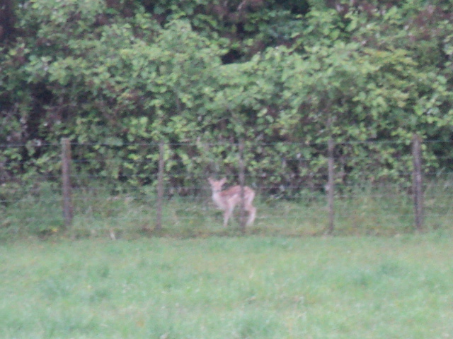 Name:  picture 01 4723.jpg
Views: 838
Size:  164.4 KB