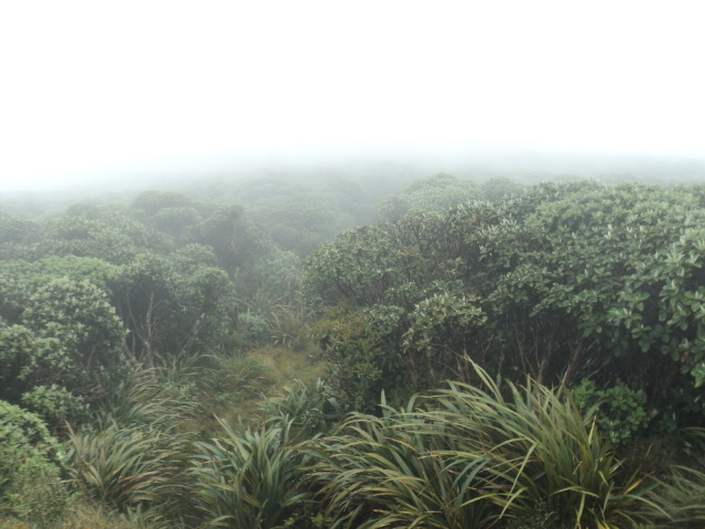 Name:  picture 01 4724.jpg
Views: 805
Size:  163.8 KB