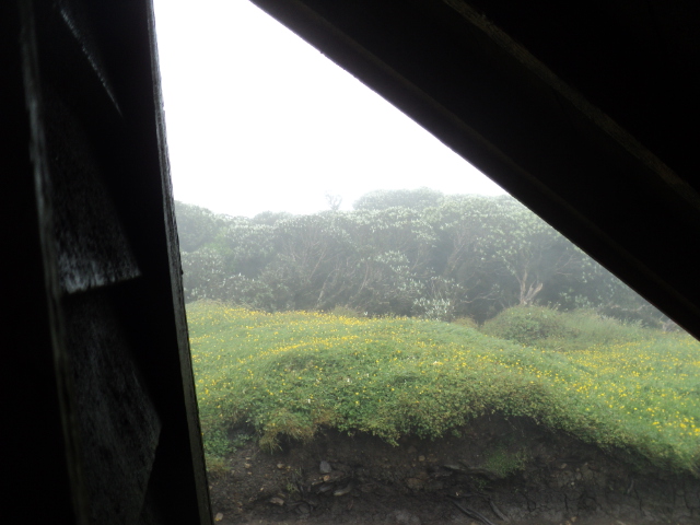 Name:  picture 01 4726.jpg
Views: 798
Size:  163.2 KB