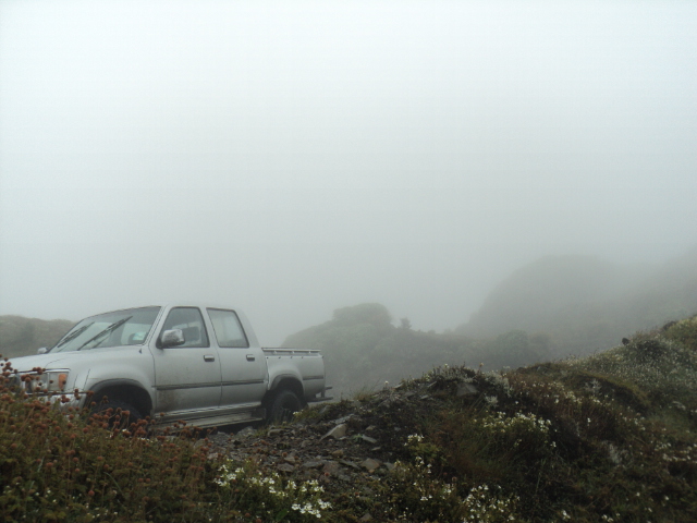 Name:  picture 01 4728.jpg
Views: 812
Size:  164.9 KB