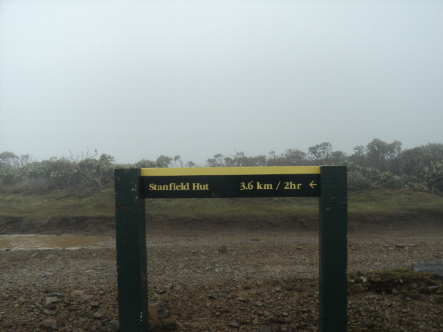 Name:  picture 01 4729.jpg
Views: 805
Size:  165.2 KB