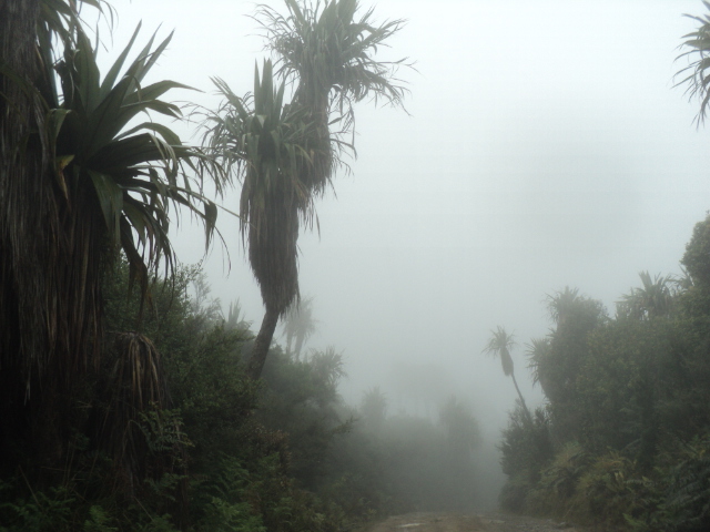 Name:  picture 01 4731.jpg
Views: 808
Size:  162.5 KB