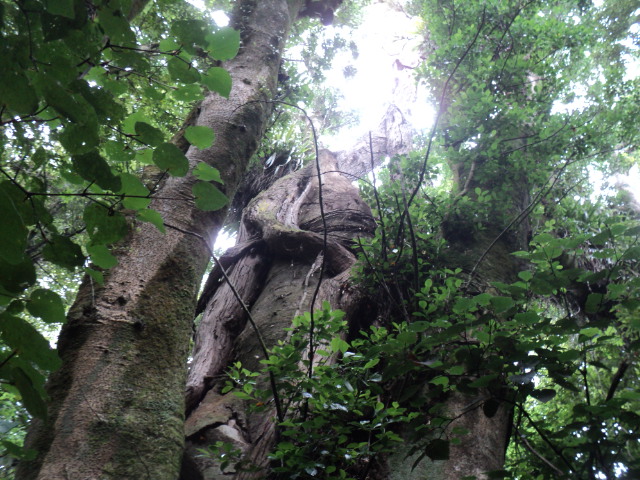 Name:  picture 01 4735.jpg
Views: 826
Size:  164.5 KB