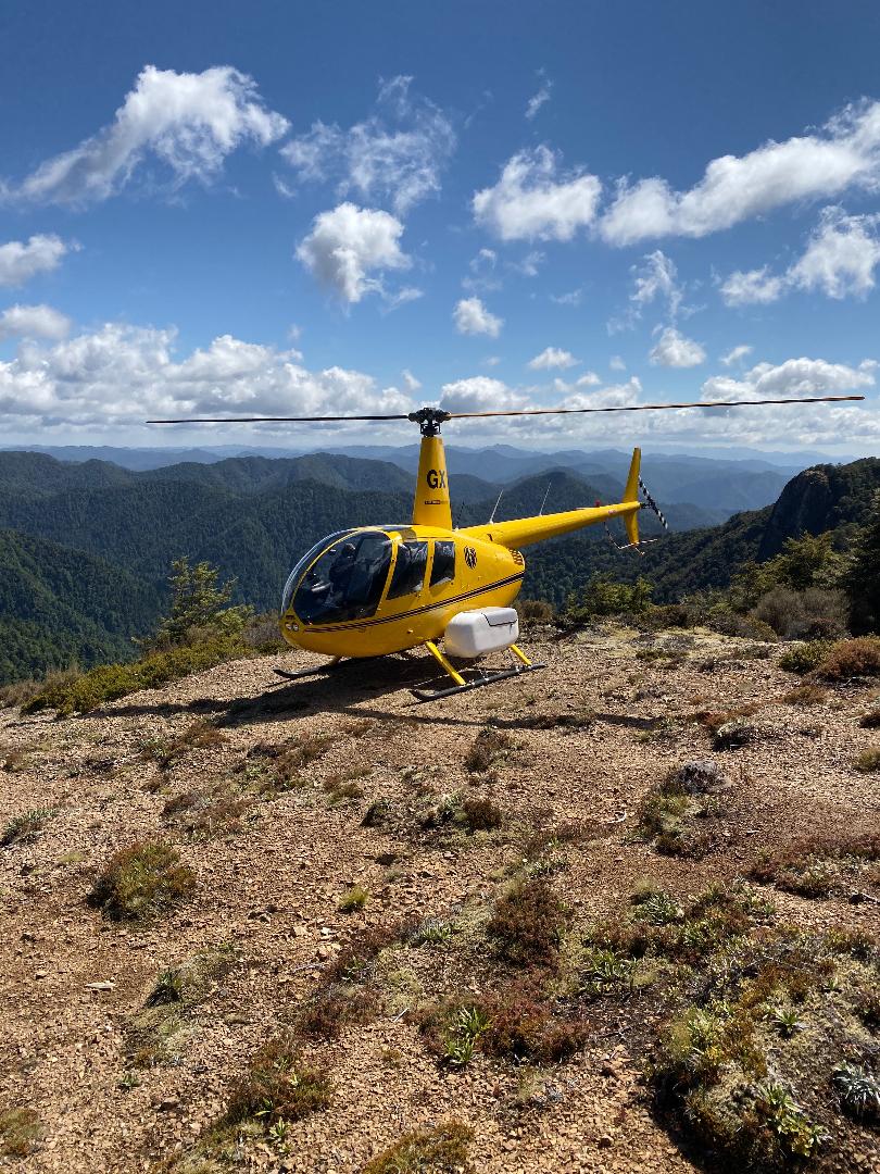 Name:  chopper.jpg
Views: 1095
Size:  252.2 KB