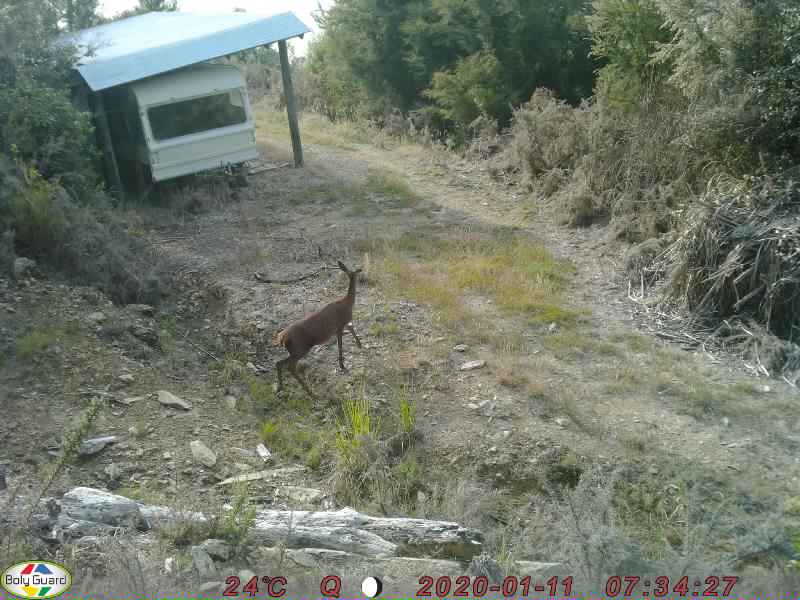 Name:  0105.JPG
Views: 185
Size:  59.5 KB