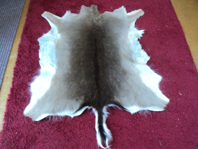 Name:  picture 01 062.jpg
Views: 181
Size:  165.2 KB