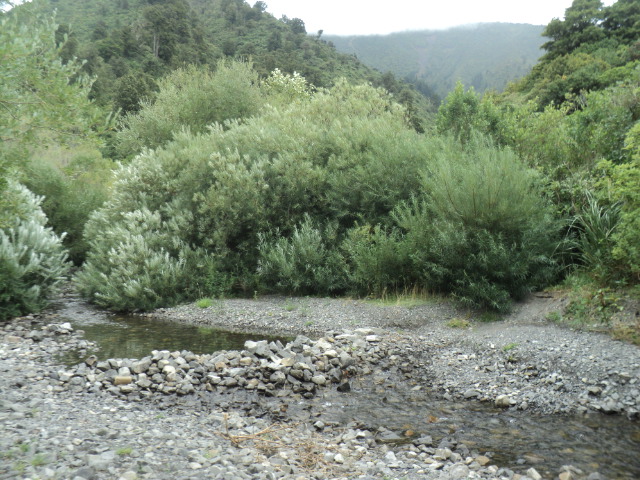 Name:  picture 01 194.jpg
Views: 786
Size:  165.2 KB