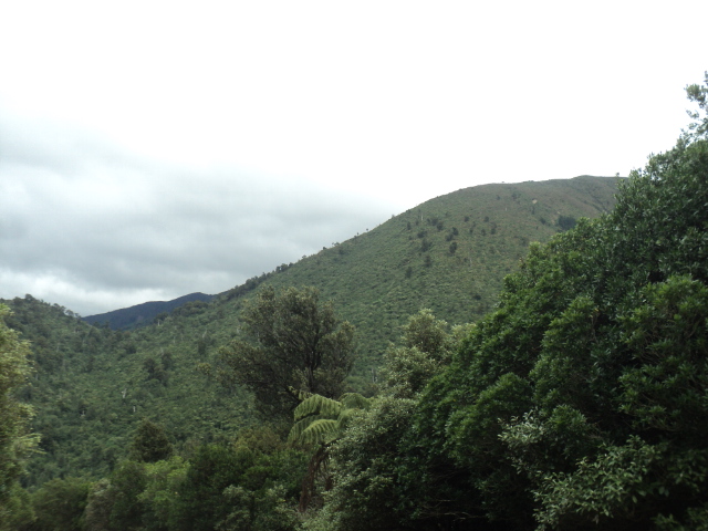 Name:  picture 01 196.jpg
Views: 778
Size:  163.0 KB