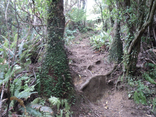Name:  picture 01 195.jpg
Views: 766
Size:  163.1 KB