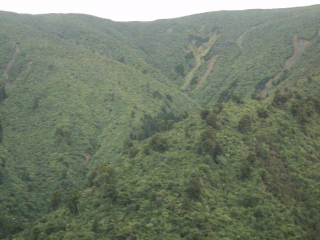 Name:  picture 01 198.jpg
Views: 761
Size:  164.7 KB