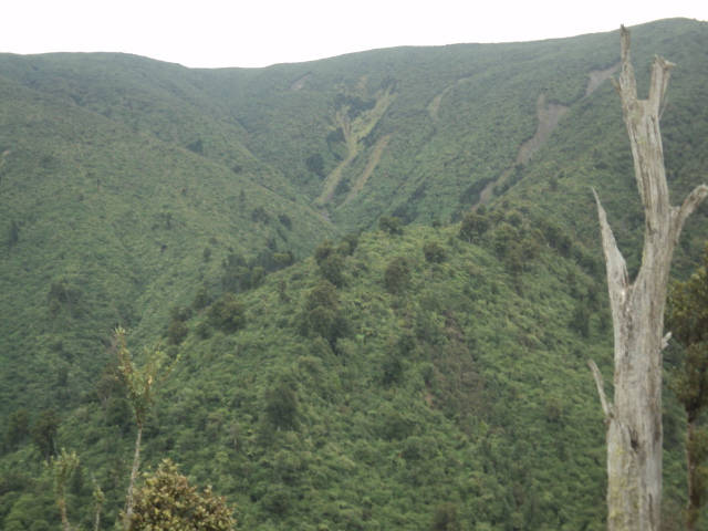 Name:  picture 01 199.jpg
Views: 762
Size:  165.1 KB