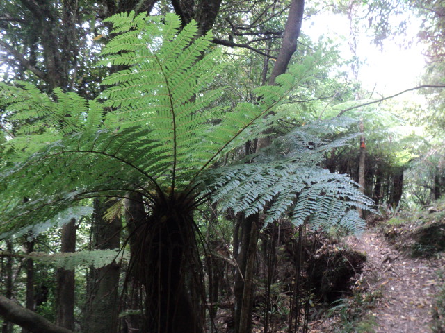 Name:  picture 01 210.jpg
Views: 757
Size:  164.8 KB