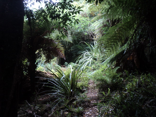 Name:  picture 01 213.jpg
Views: 802
Size:  164.8 KB