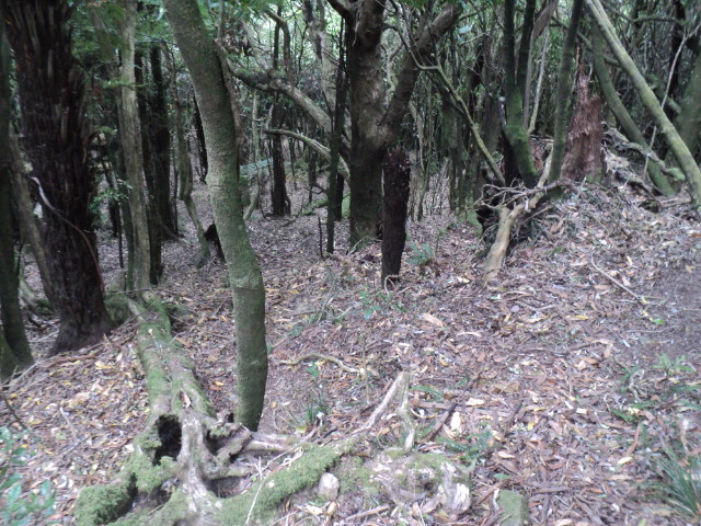 Name:  picture 01 209.jpg
Views: 760
Size:  165.3 KB