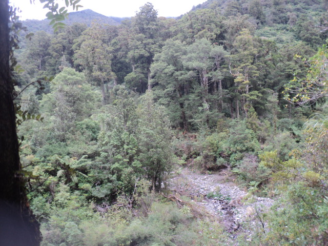Name:  picture 01 215.jpg
Views: 788
Size:  164.7 KB