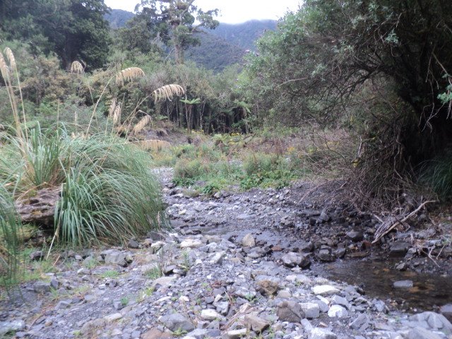 Name:  picture 01 216.jpg
Views: 754
Size:  163.0 KB