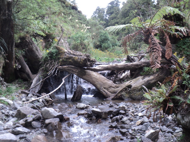 Name:  picture 01 229.jpg
Views: 790
Size:  164.1 KB