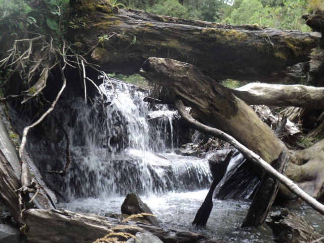 Name:  picture 01 230.jpg
Views: 753
Size:  163.4 KB