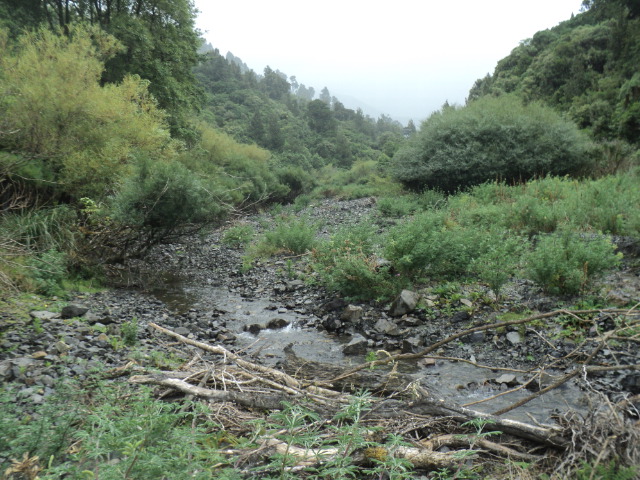 Name:  picture 01 233.jpg
Views: 784
Size:  165.1 KB