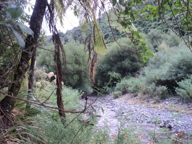 Name:  picture 01 234.jpg
Views: 748
Size:  164.1 KB