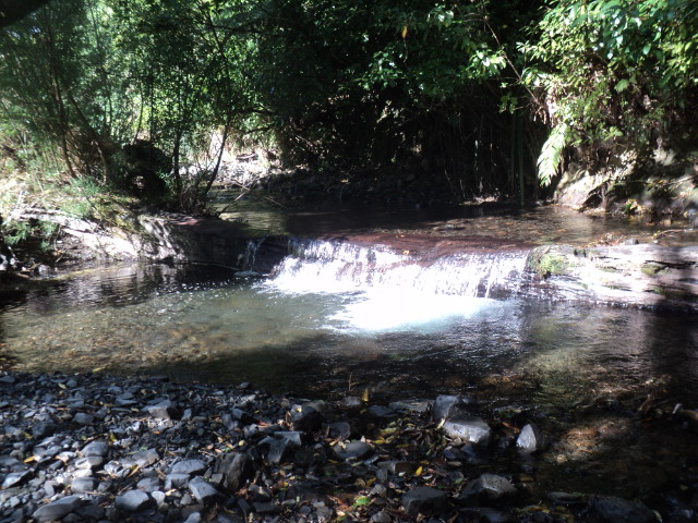 Name:  picture 01 235.jpg
Views: 772
Size:  164.4 KB
