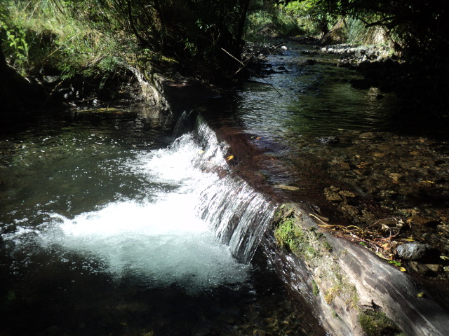 Name:  picture 01 236.jpg
Views: 796
Size:  165.0 KB