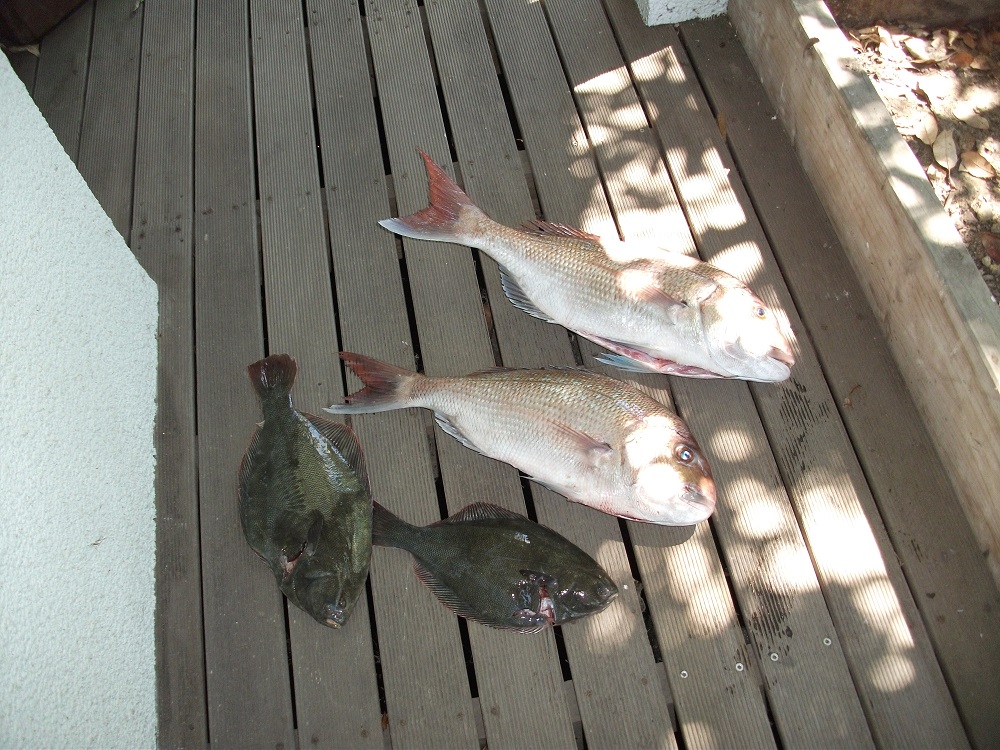 Name:  DSCF1085.JPG
Views: 522
Size:  391.0 KB