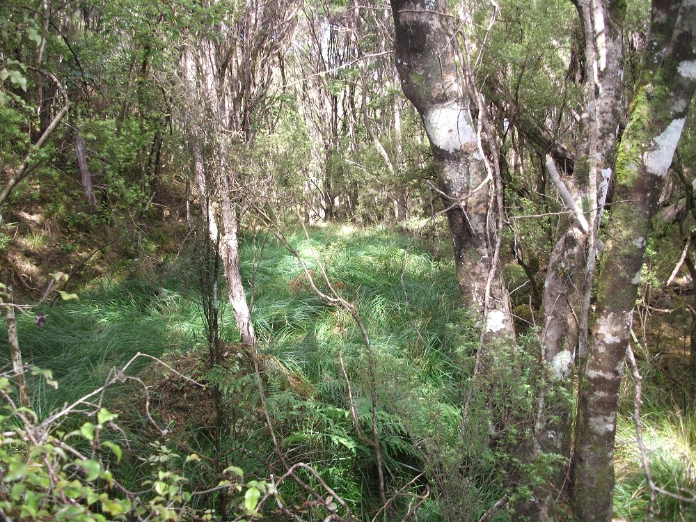 Name:  DSCF1078.JPG
Views: 511
Size:  582.2 KB