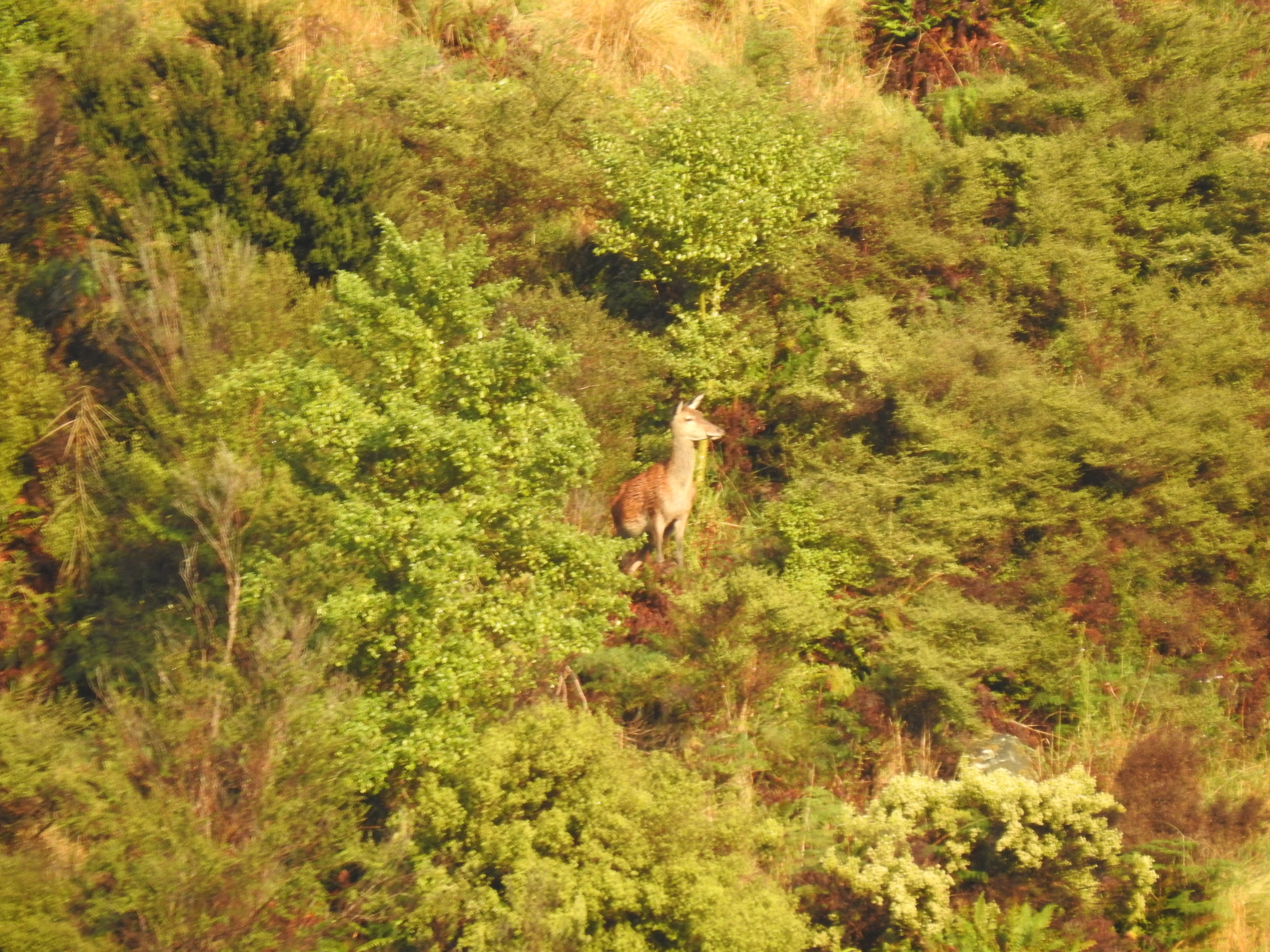 Name:  DSCN0134.JPG
Views: 477
Size:  3.57 MB