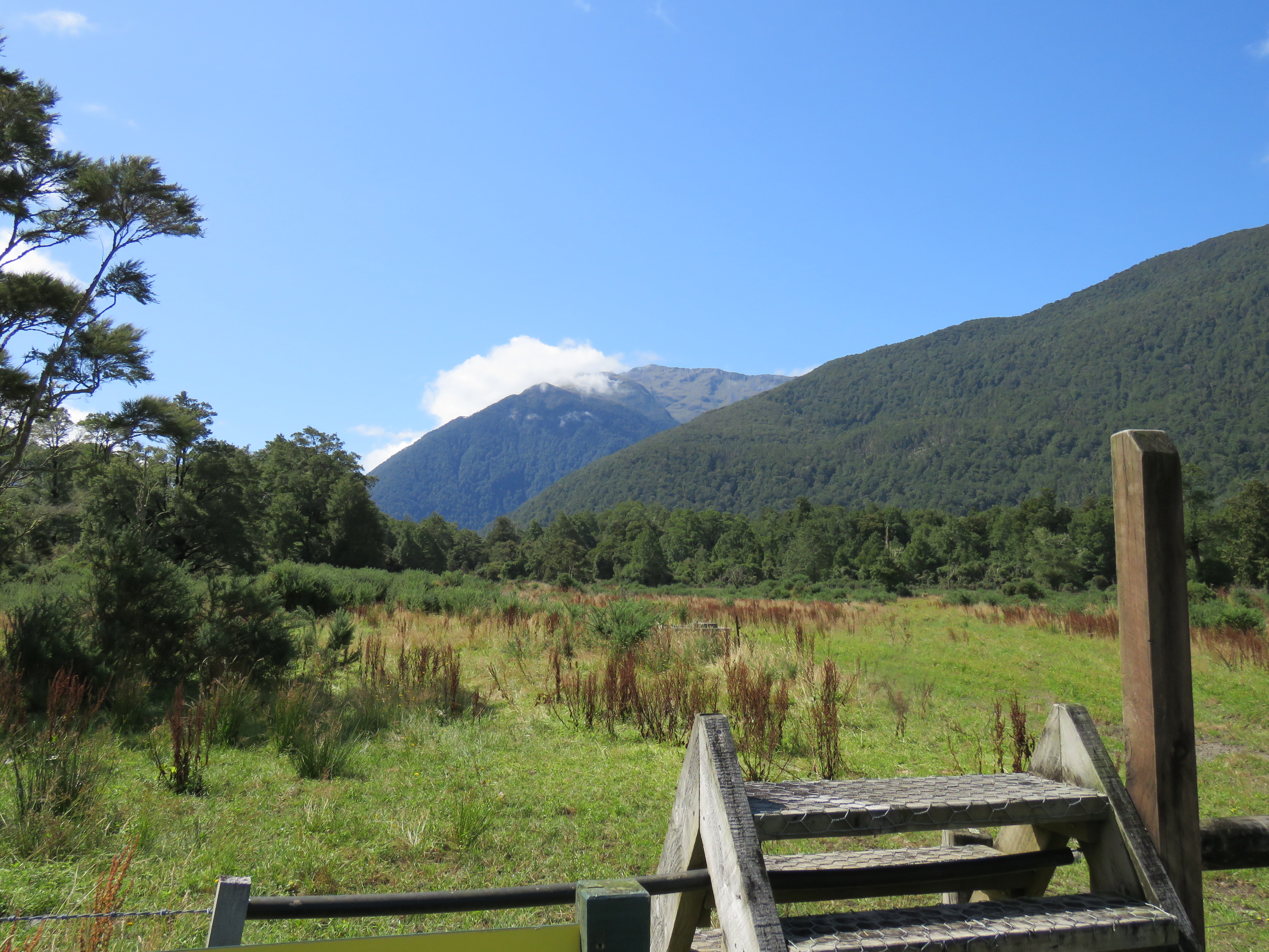 Name:  IMG_1893.JPG
Views: 715
Size:  4.60 MB