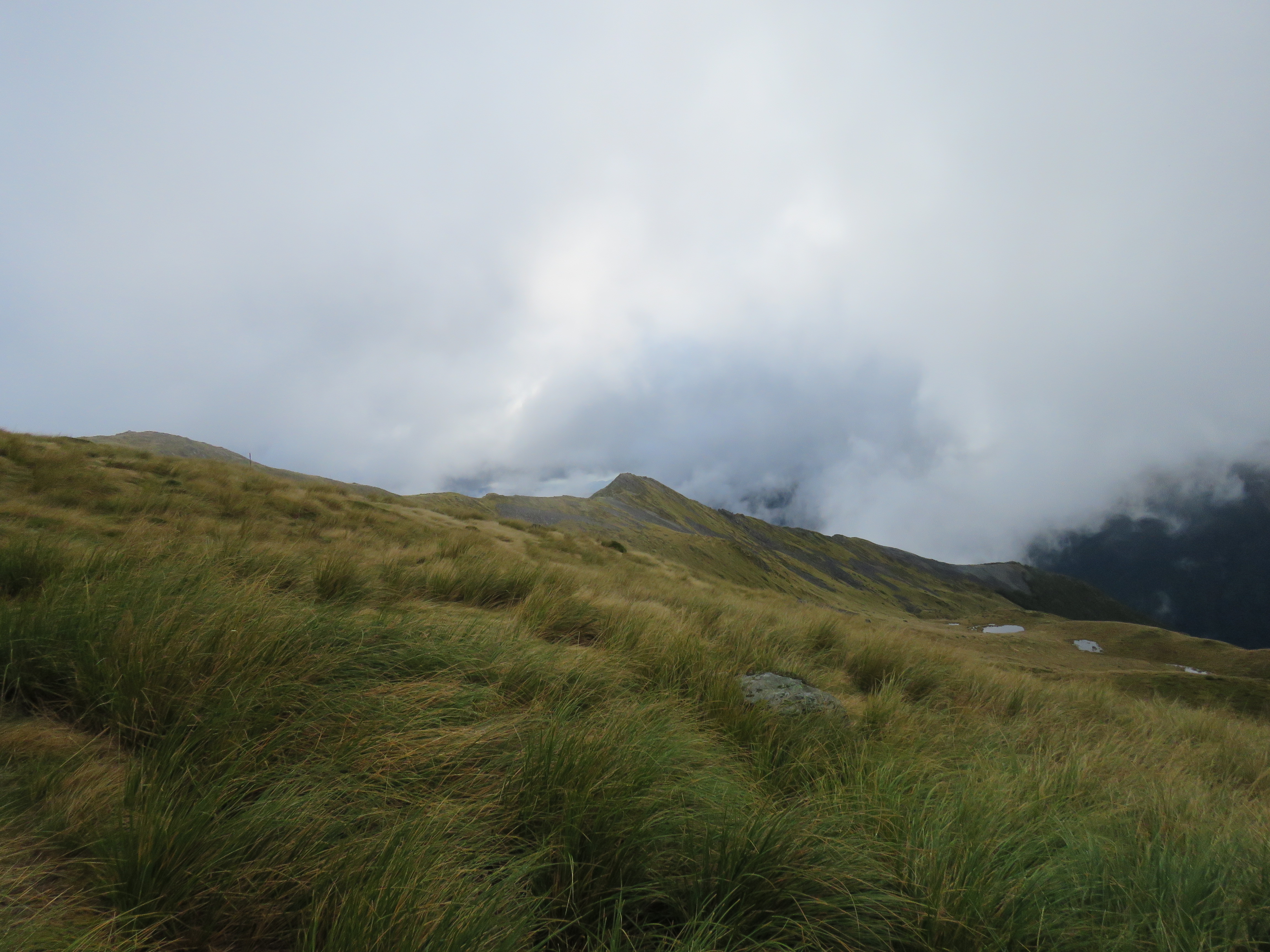 Name:  IMG_2048.JPG
Views: 412
Size:  3.35 MB