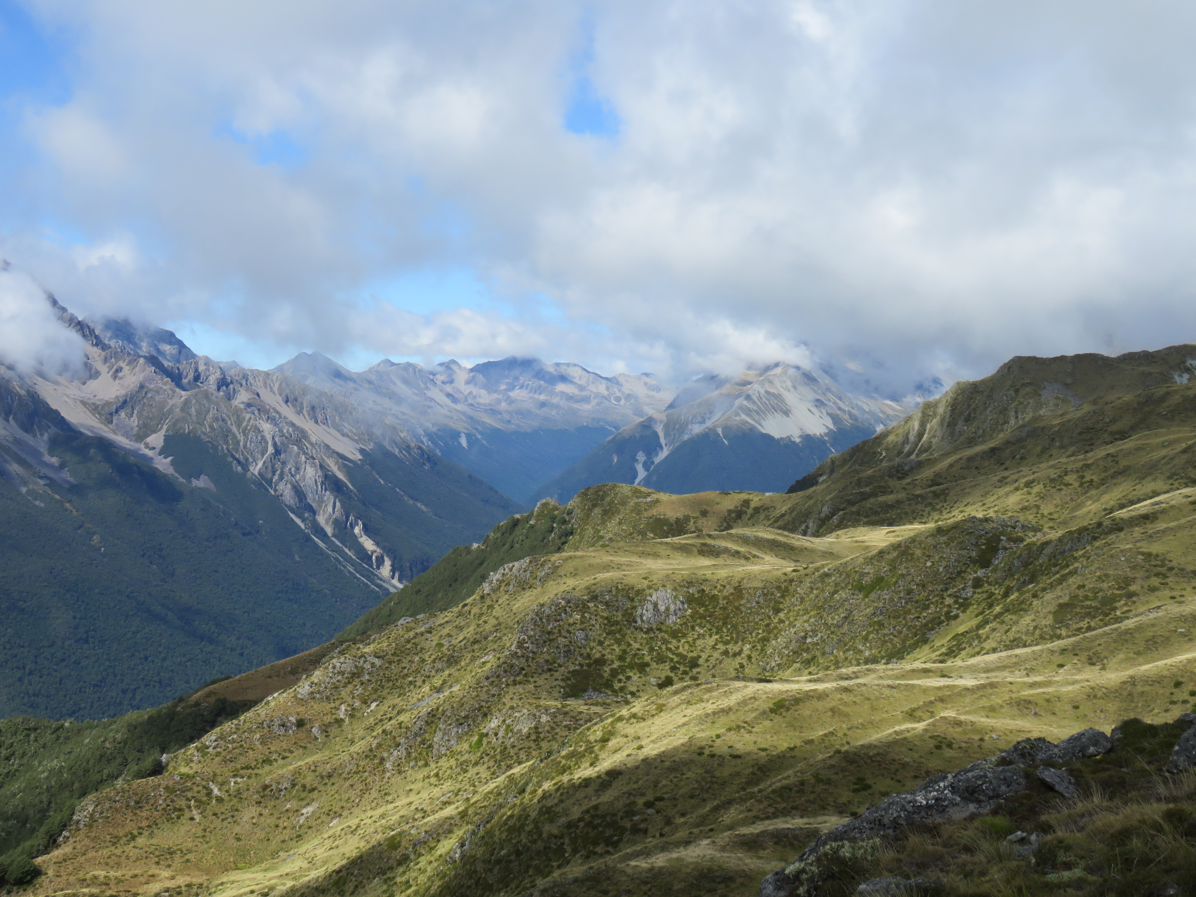 Name:  IMG_2058.JPG
Views: 431
Size:  3.91 MB