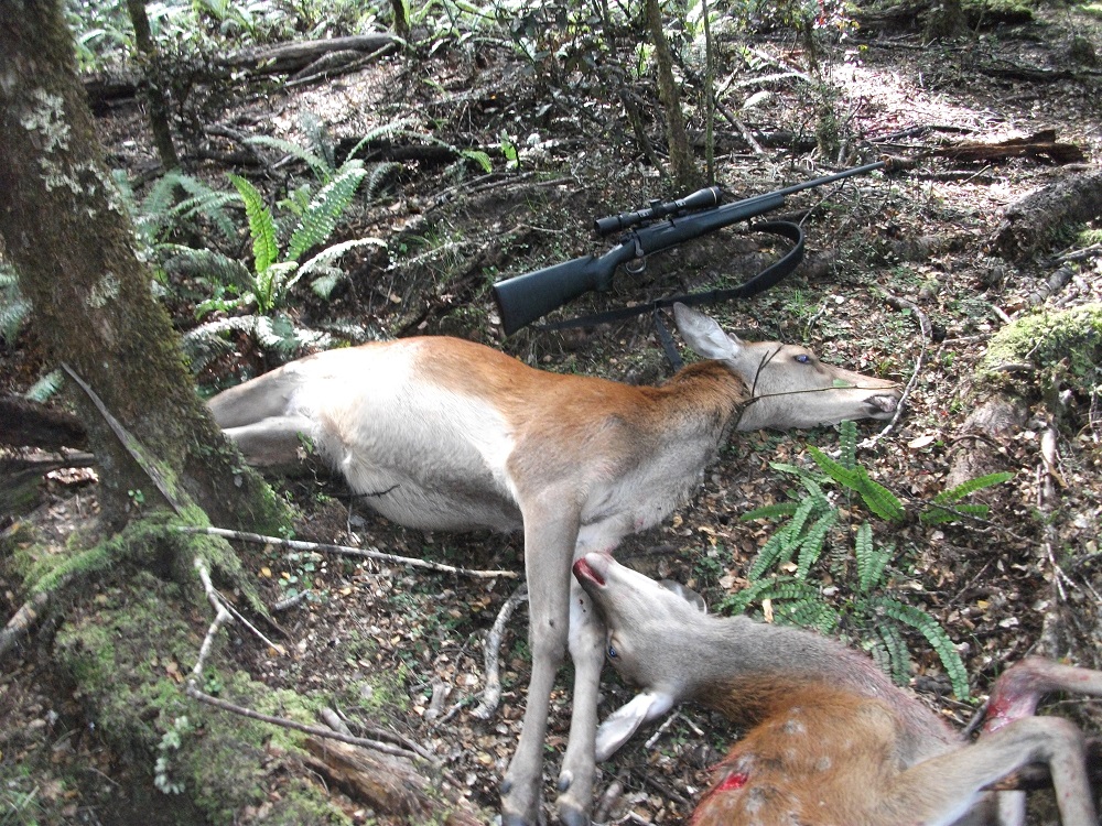 Name:  DSCF1087.JPG
Views: 573
Size:  536.6 KB