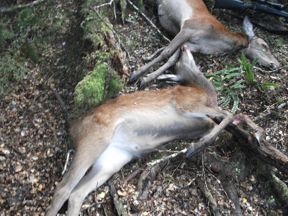 Name:  DSCF1088.JPG
Views: 599
Size:  454.3 KB