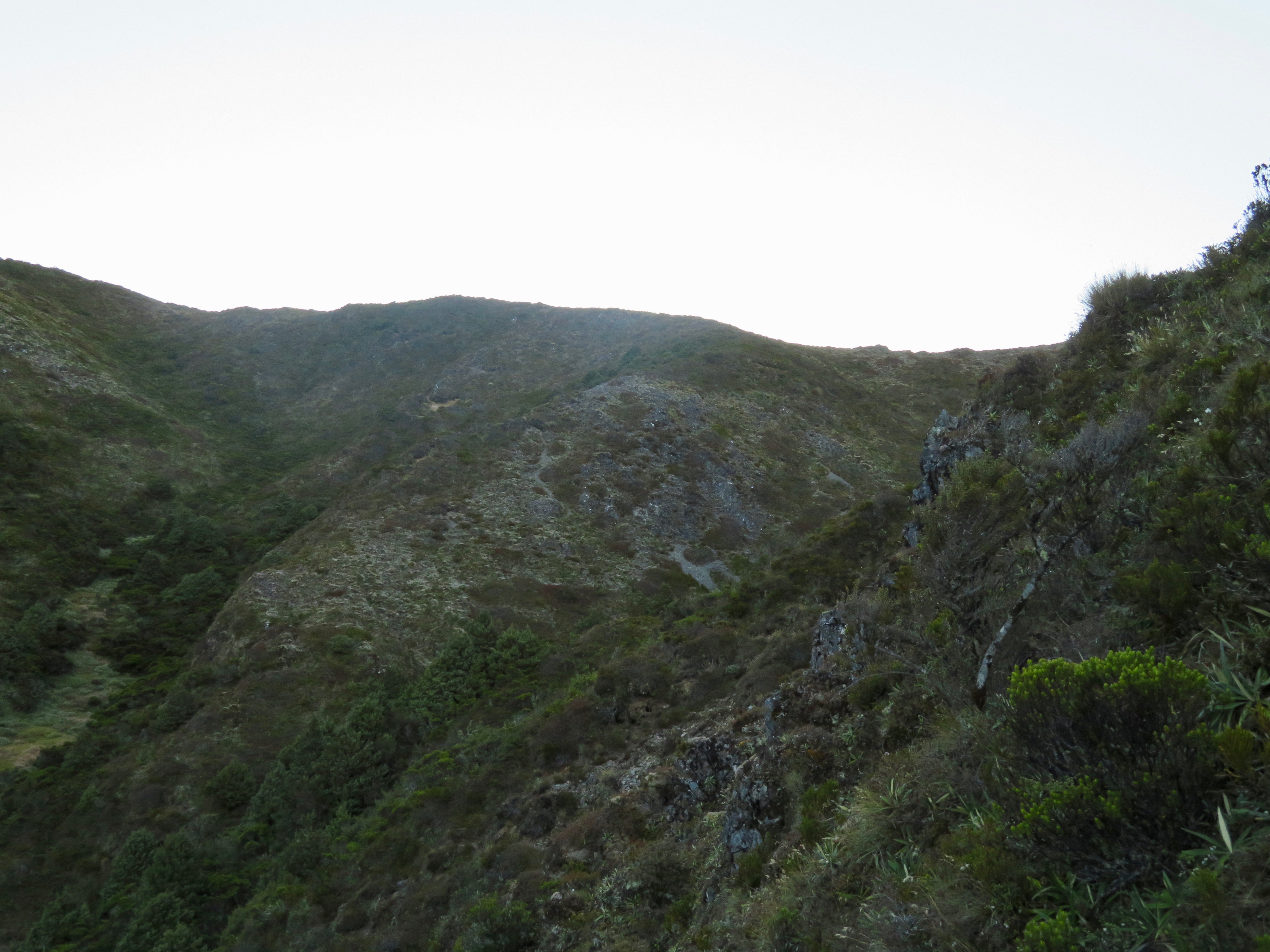Name:  IMG_1929.jpeg
Views: 733
Size:  3.05 MB