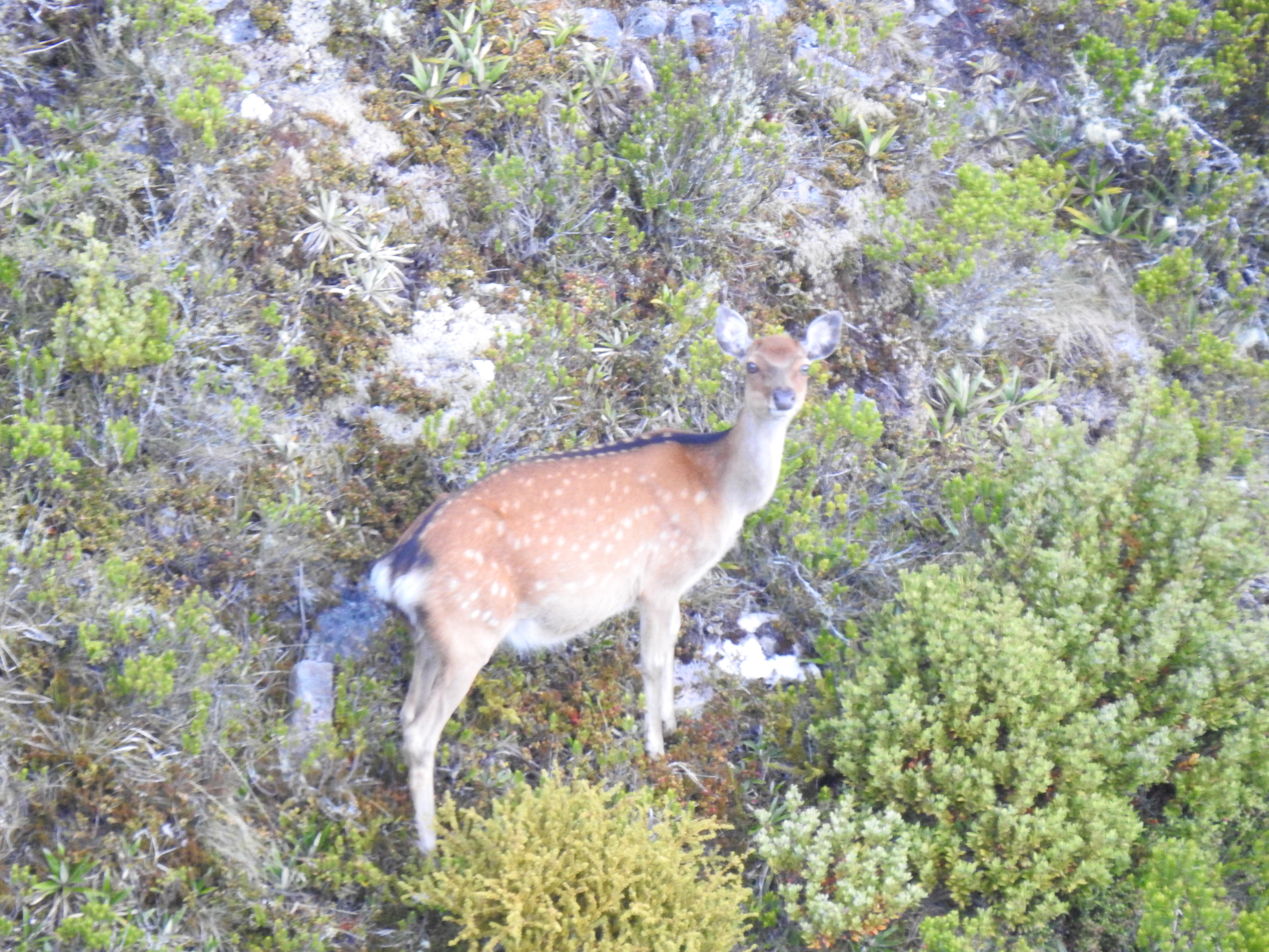 Name:  IMG_2022.JPG
Views: 619
Size:  3.56 MB