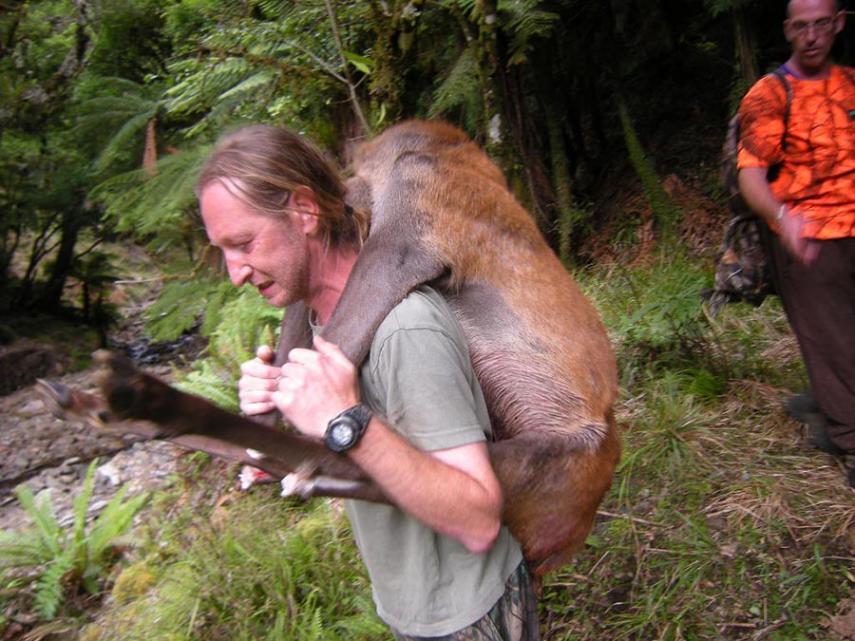 Name:  The carry.jpg
Views: 652
Size:  95.9 KB