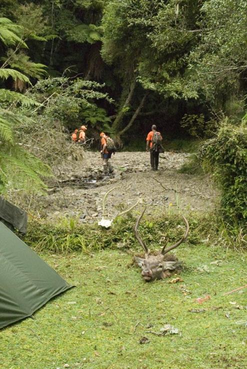 Name:  Heading up creek.jpg
Views: 760
Size:  92.9 KB