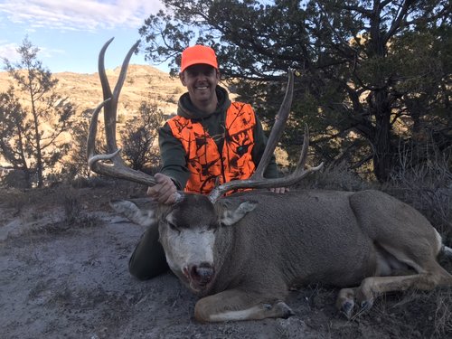 Name:  WY 2019 Mule.jpg
Views: 727
Size:  58.7 KB