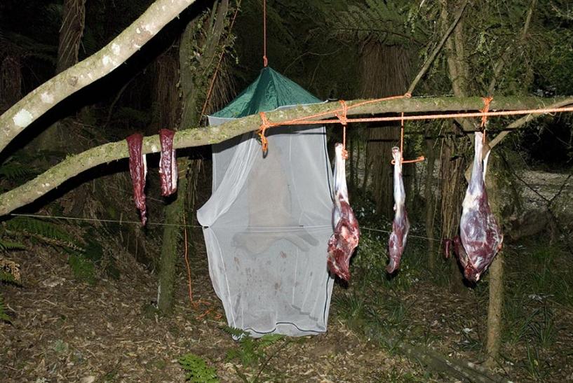 Name:  Meat hanging.jpg
Views: 1414
Size:  98.7 KB