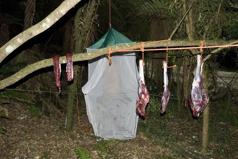 Name:  Meat hanging.jpg
Views: 1243
Size:  98.7 KB