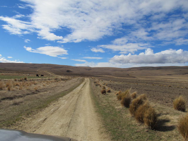 Name:  025.JPG
Views: 499
Size:  62.7 KB